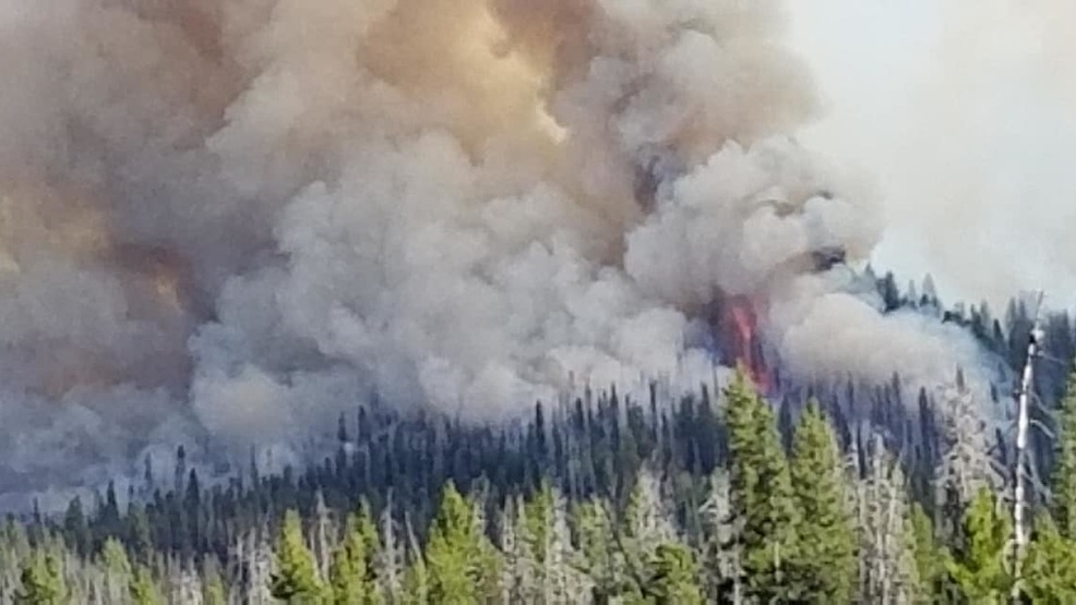 Forest fire near Stanley burns over 200 acres, shuts down parts of