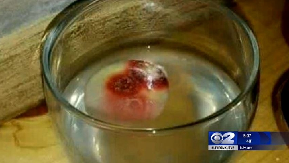 Catholic Diocese finds Utah 'bleeding host' wasn't a miracle KUTV