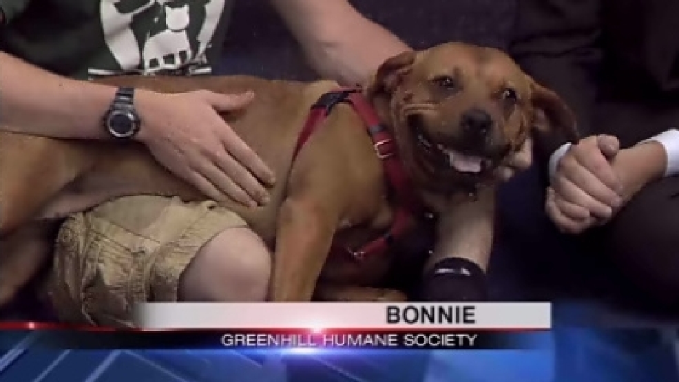 pet_bonnie.jpg