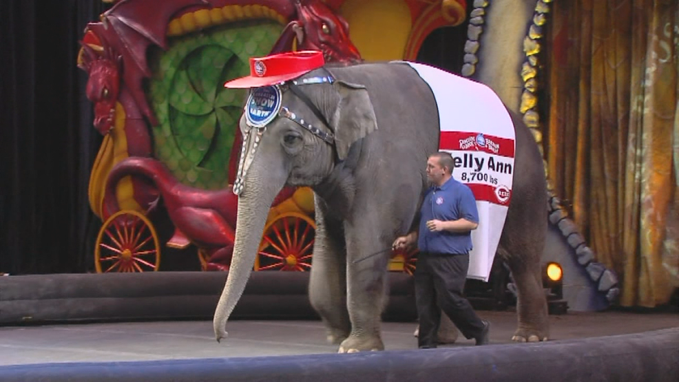 Cincinnati considers banning exotic circus animals WKRC