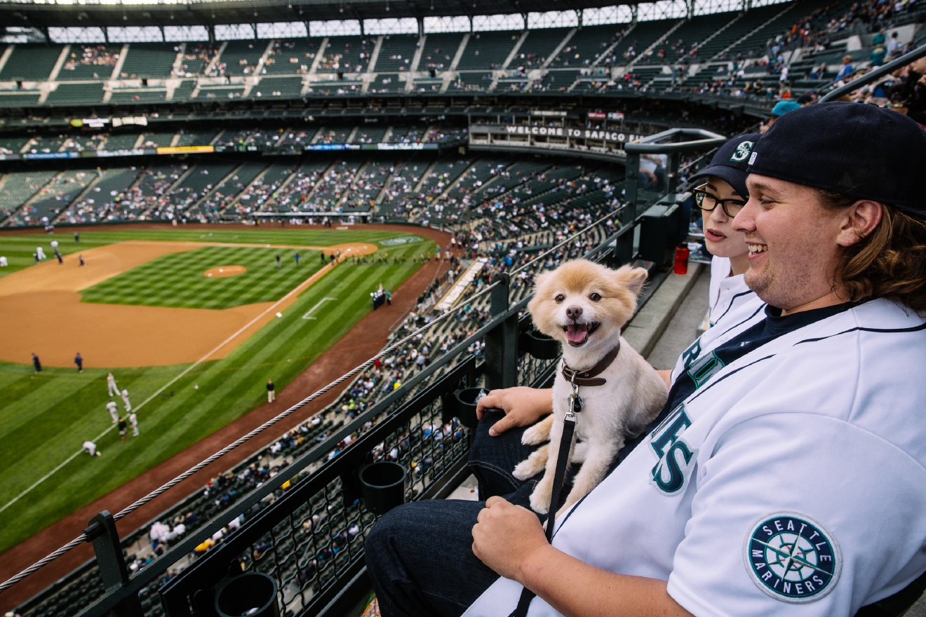 Who Let The Dogs In (To Safeco Field)? Mariners Host Bark in the Park