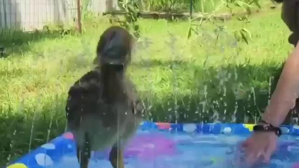 Neo loves to splash poster_29090797b0564b23b94fda2ddcc9d94a.jpg