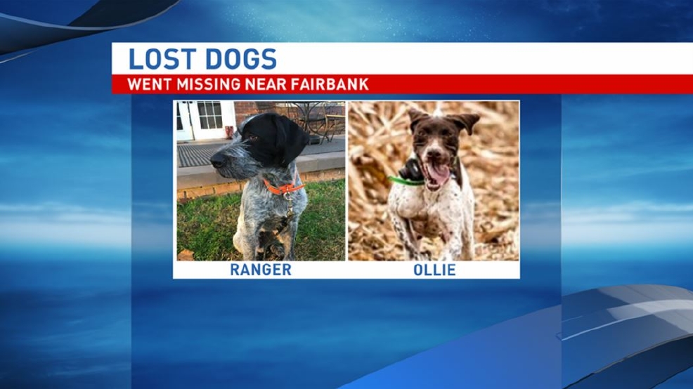 West Virginia dogs go missing in Iowa KGAN