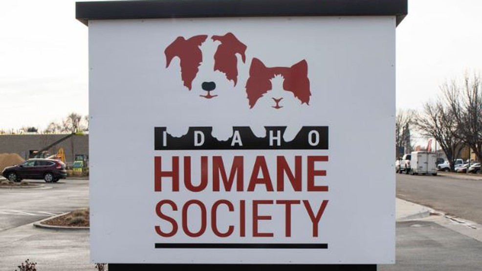 Idaho Humane Society adoption numbers drop due to COVID19 KBOI
