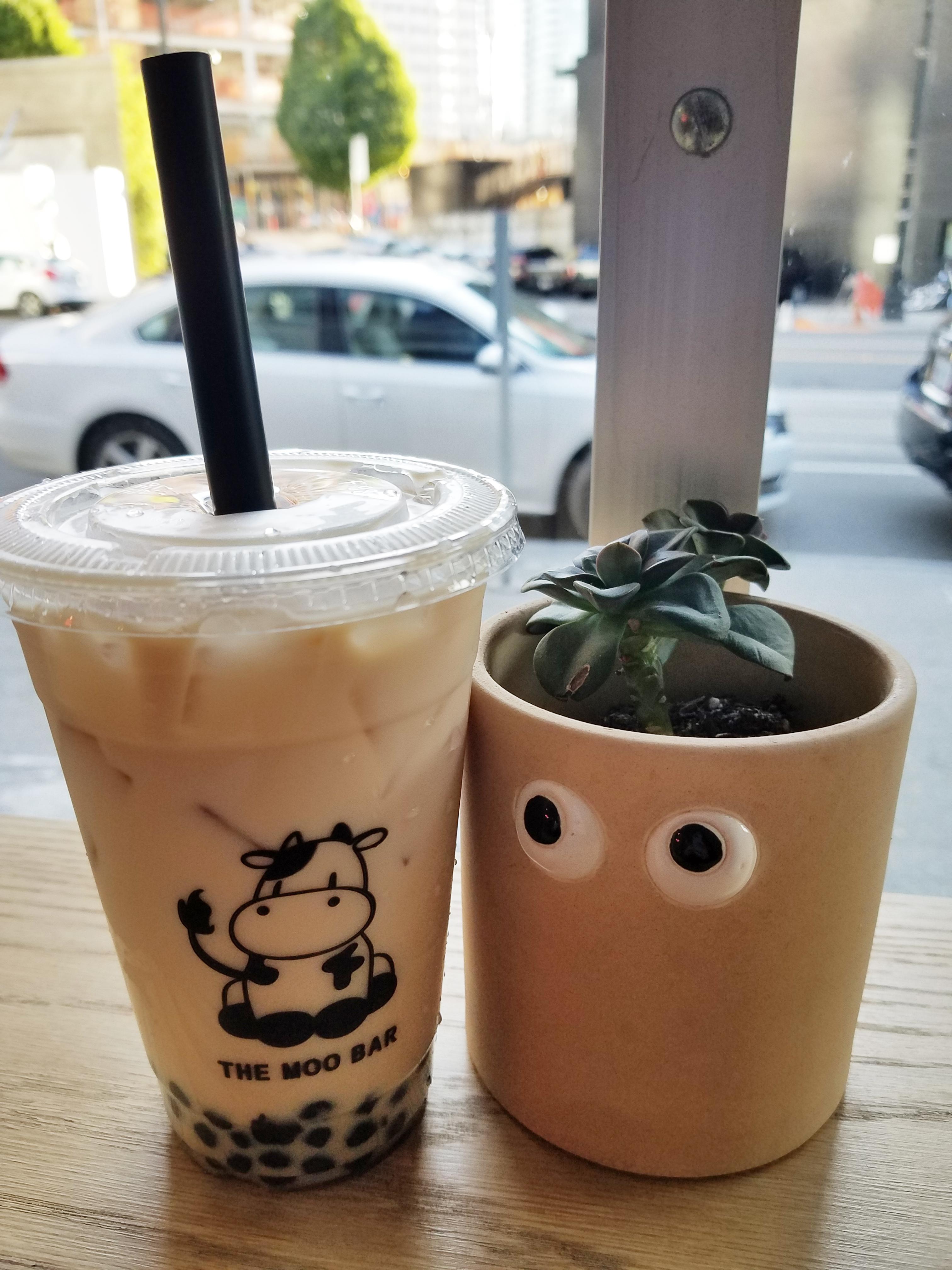 Where to get the best boba tea in Seattle Seattle Refined