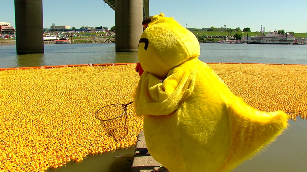 West Side, East Side & N. Ky. face off in selling ducks for Rubber Duck