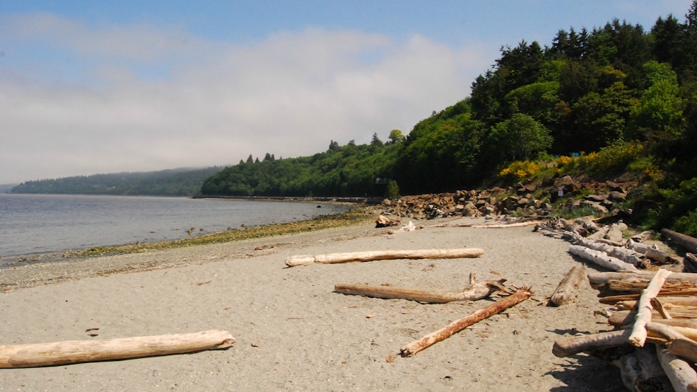 From Beach To Timberland, Carkeek Park Is A Wonderwall Of Discovery ...