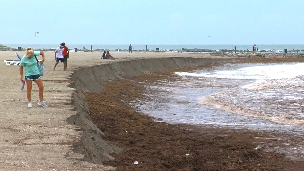 Months of beach erosion in Fort Pierce forms steep slope WPEC