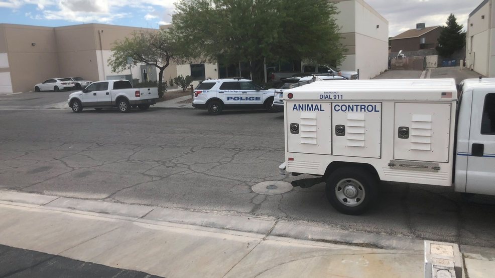 View Animal Control Las Vegas PNG - Temal