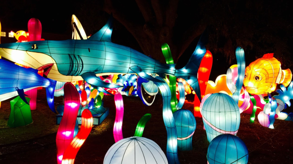 Dragon Lights Chinese Lantern Festival debuts in Reno KRNV