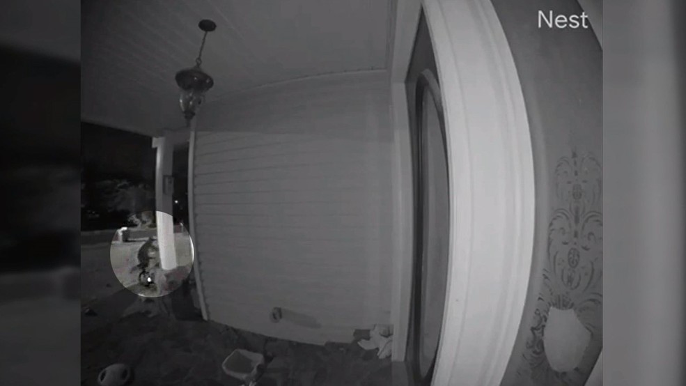 Home surveillance Who's watching your house while you're away? WGXA