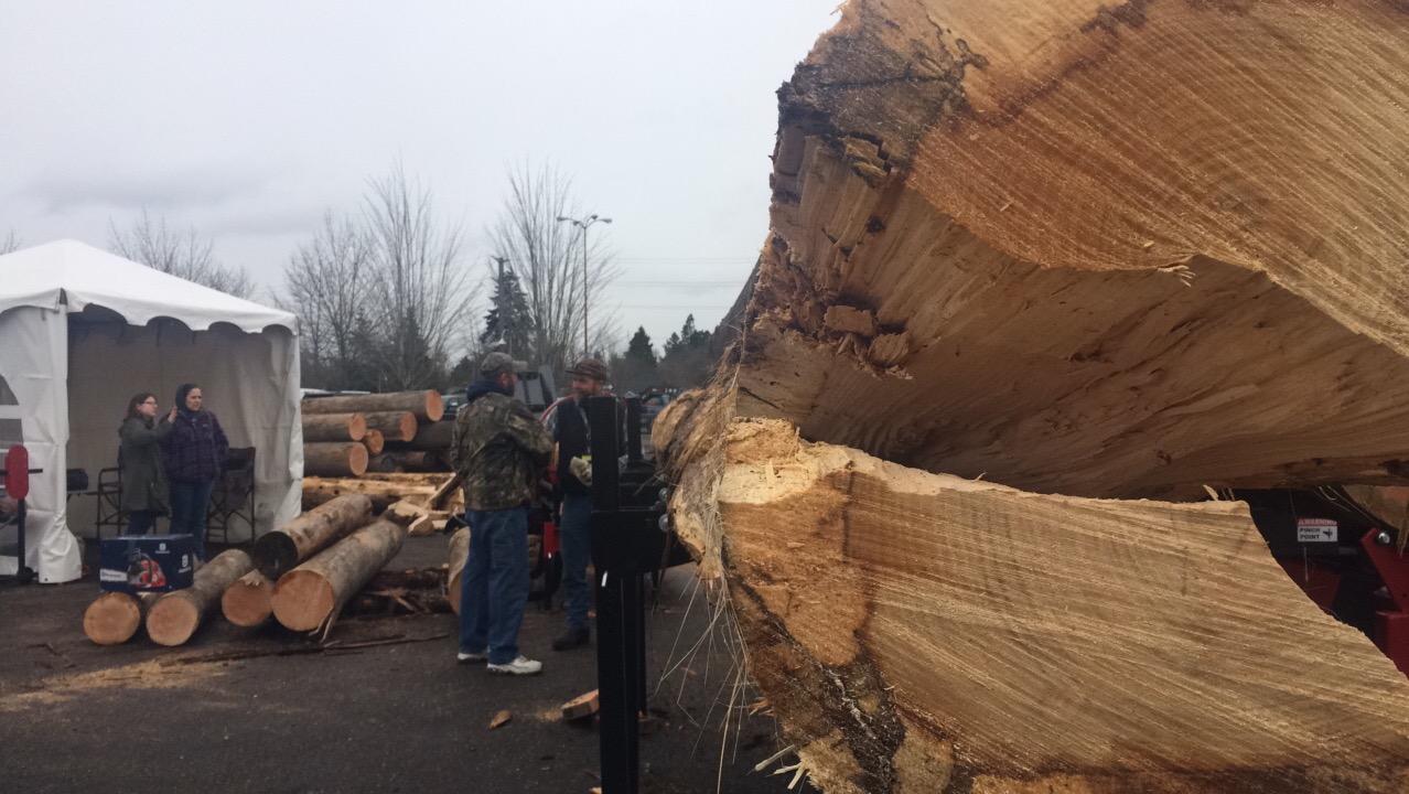 Oregon timber industry optimistic Trump administration will bring back