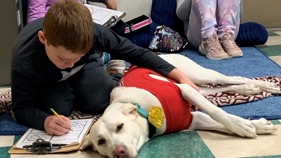 New tailwagging experience in Dansville schools WHAM