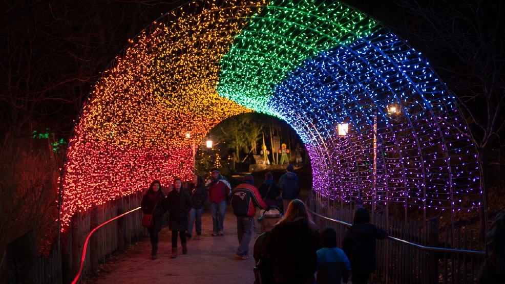 Photos Festival of Lights Cincinnati Refined