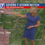 Severe Thunderstorm Watch, for parts of Middle Tennessee, KY through evening